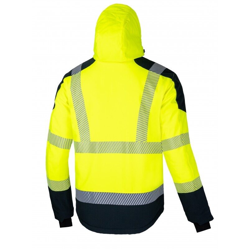 CannyGo WELLGO Hi-Vis Winter Softshell Jacket – back view, yellow/black